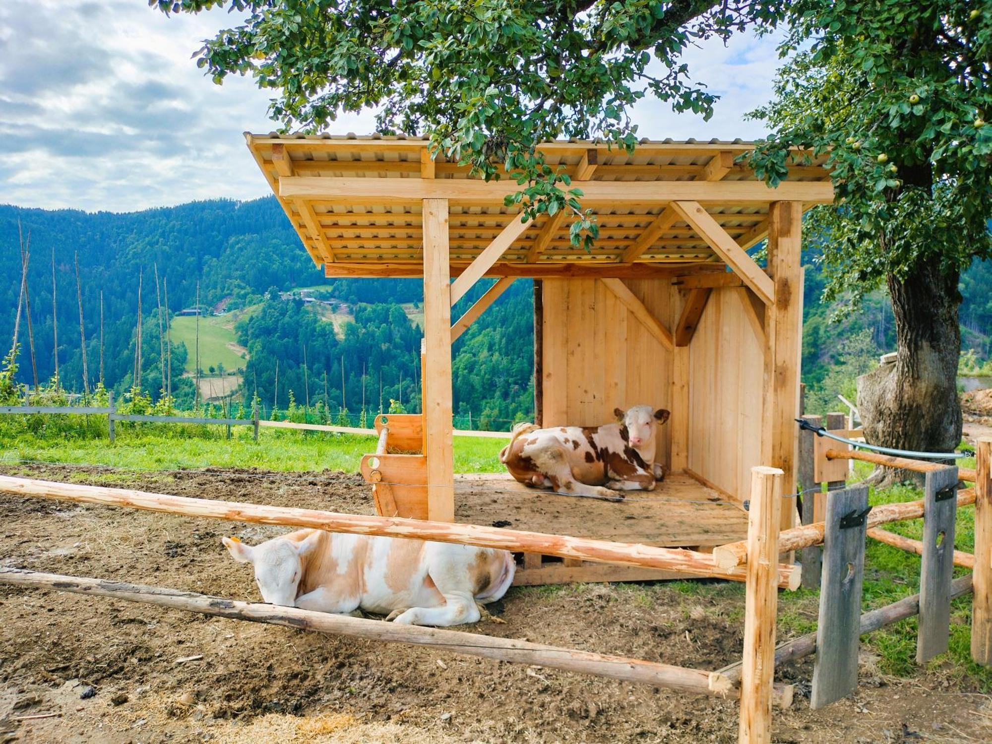 Apartments Organic Tourist Farm Gradisnik Prevalje Exterior photo